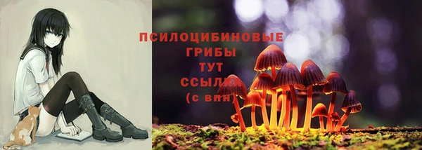 ALPHA-PVP Мегион