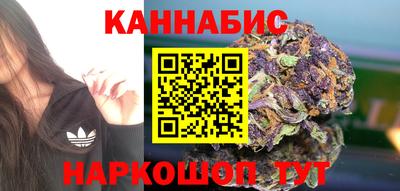 стаф Аргун