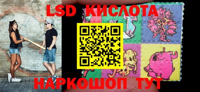 крисы Абакан