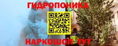 сатива Апшеронск