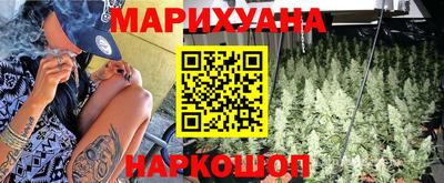 сатива Апшеронск