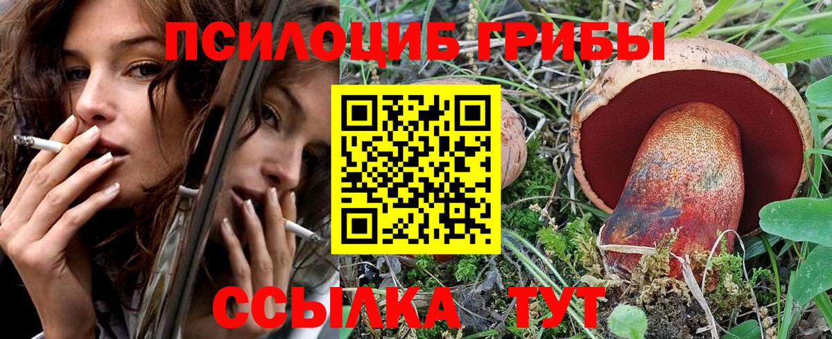 Псилоцибиновые грибы мицелий  купить наркотики цена  Шадринск  Вход с VPN  Галлюциногенные грибы мицелий 